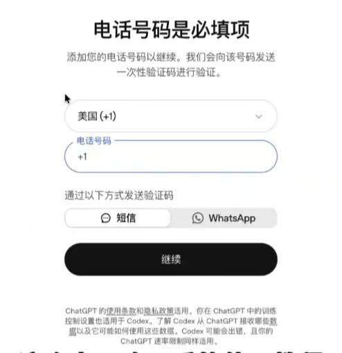 电话号码是必填项的正确验证界面示例
